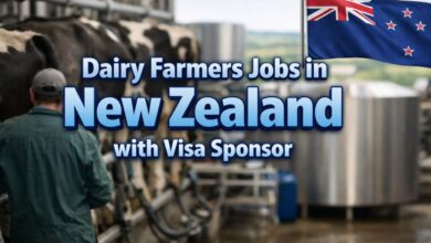 Dairy Farmers Jobs in New Zealand with Visa Sponsor