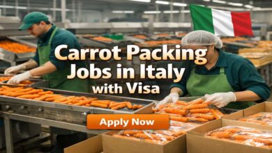 Carrot Packing Jobs in Italy with Visa