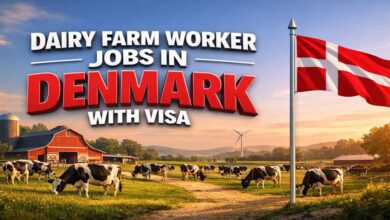 Dairy Farm Worker Jobs in Denmark with Visa