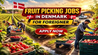 Fruit Picking Jobs in Denmark for Foreigner