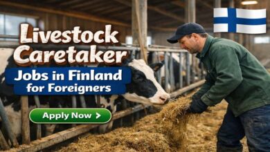 Livestock Caretaker Jobs in Finland for Foreigners