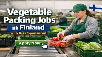 Vegetable Packing Jobs in Finland with Visa Sponsored