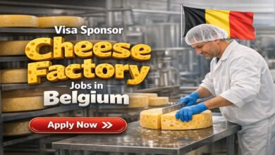 Visa Sponsor Cheese Factory Jobs in Belgium
