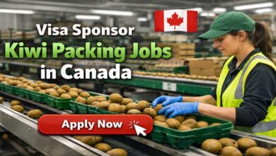 Visa Sponsor Kiwi Packing Jobs in Canada