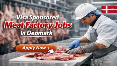 Visa Sponsored Meat Factory Jobs in Denmark