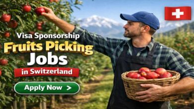 Visa Sponsorship Fruits Picking Jobs in Switzerland