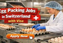 Egg Packing Jobs in Switzerland with Visa