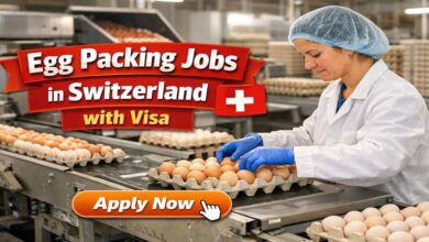 Egg Packing Jobs in Switzerland with Visa