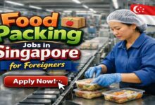 Food Packing Jobs in Singapore for Foreigners