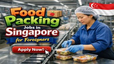 Food Packing Jobs in Singapore for Foreigners