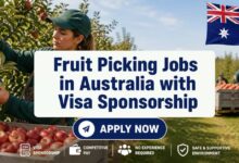 Fruit Picking Jobs in Australia with Visa Sponsorship