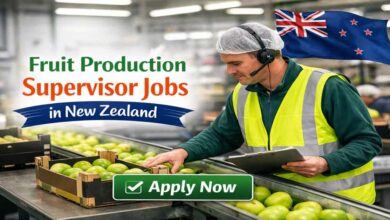 Fruit Production Supervisor Jobs in New Zealand