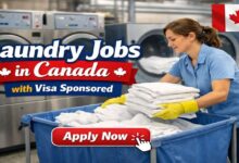 Laundry Jobs in Canada with Visa Sponsored