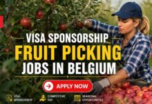 Visa Sponsorship Fruit Picking Jobs in Belgium