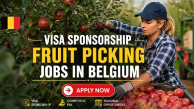 Visa Sponsorship Fruit Picking Jobs in Belgium