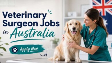 Veterinary Surgeon Jobs in Australia