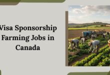 Visa Sponsorship Farming Jobs in Canada