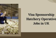 Visa Sponsorship Hatchery Operative Jobs in UK