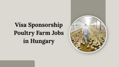 Visa Sponsorship Poultry Farm Jobs in Hungary
