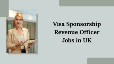 Visa Sponsorship Revenue Officer Jobs in UK