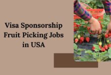Visa Sponsorship Fruit Picking Jobs in USA