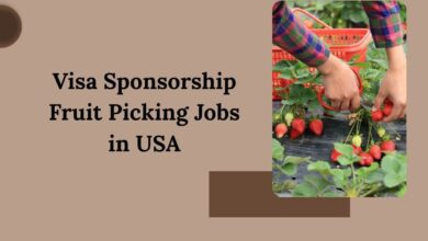 Visa Sponsorship Fruit Picking Jobs in USA