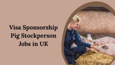 Visa Sponsorship Pig Stockperson Jobs in UK